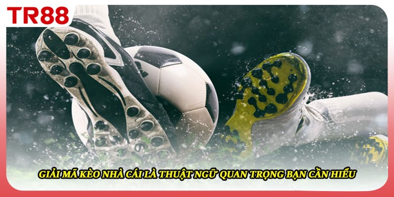 Giải mã kèo nhà cái là thuật ngữ quan trọng bạn cần hiểu