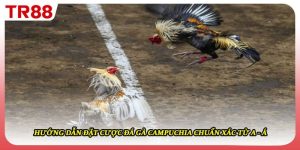 Hướng Dẫn Đặt Cược Đá Gà Campuchia Chuẩn Xác Từ A - Á